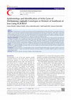 Research paper thumbnail of Epidemiology and Identification of Actin Gene of Trichomonas vaginalis Genotypes in Women of Southeast of Iran Using PCR-RFLP