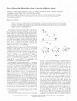 Research paper thumbnail of Novel Polyketide Metabolites from a Species of Marine Fungi