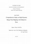 Comprehensive Study on High Dynamic Range Tone Mapping with Subjective Tests Cover Page