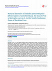 Research paper thumbnail of Natural Enemies of Calidea panaethiopica (Heteroptera: Scutelleridae): An Insect Pest of Jatropha curcas L. in the South-Sudanian Zone of Burkina Faso