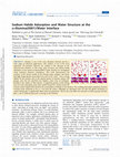 Research paper thumbnail of Sodium Halide Adsorption and Water Structure at the α-Alumina(0001)/Water Interface