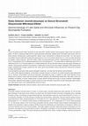 Research paper thumbnail of Salda Gölünün Jeomikrobiyolojisi ve Güncel Stromatolit Oluşumunda Mikrobiyal Etkiler / Geomicrobiology of Lake Salda and Microbial Influences on Present-Day Stromatolite Formation