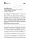 Research paper thumbnail of Formation of Carbonate Nanoglobules by a Mixed Natural Culture under Hypersaline Conditions