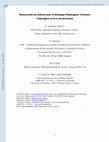 Research paper thumbnail of Nanocornets de Carbone pour le Stockage dHydrogène: Comment lHydrogène se lie à ces Structures