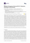 Modular Proteoglycan Perlecan/HSPG2: Mutations, Phenotypes, and Functions Cover Page