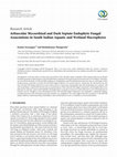 Research paper thumbnail of Arbuscular Mycorrhizal and Dark Septate Endophyte Fungal Associations in South Indian Aquatic and Wetland Macrophytes