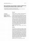 Research paper thumbnail of Root morphology and mycotrophy of Disperis neilgherrensis (Orchidaceae) from Western Ghats, southern India