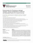 Envenomation by Trimeresurus stejnegeri stejnegeri: clinical manifestations, treatment and associated factors for wound necrosis Cover Page