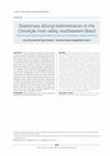 Quaternary alluvial sedimentation in the Conceição river valley, southeastern Brazil Cover Page