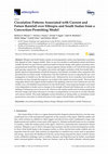 Research paper thumbnail of Circulation Patterns Associated with Current and Future Rainfall over Ethiopia and South Sudan from a Convection-Permitting Model