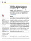 Research paper thumbnail of Coordinated Expression of FLOWERING LOCUS T and DORMANCY ASSOCIATED MADS-BOX-Like Genes in Leafy Spurge