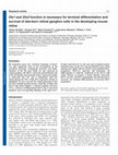 Research paper thumbnail of Dlx1 and Dlx2 function is necessary for terminal differentiation and survival of late-born retinal ganglion cells in the developing mouse retina