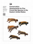 Research paper thumbnail of Conservation assessments for five forest bat species in the Eastern United States