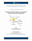 Utilization of Minor Actinides as a Fuel Component for Ultra-Long Life Bhr Configurations: Designs, Advantages and Limitations Cover Page