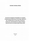 Ocorrência de patógenos transmitidos por carrapatos (Anaplasma spp, Babesia spp, Ehrlichia spp, Hepatozoon spp e Rickettsia spp) em lobos guará (Chrysocyon brachyurus) e cães domésticos na região do Parque Nacional da Serra da Canastra, Minas Gerais, Brasil Cover Page