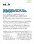 Research paper thumbnail of Genotype Imputation in Winter Wheat Using First-Generation Haplotype Map SNPs Improves Genome-Wide Association Mapping and Genomic Prediction of Traits