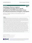 Research paper thumbnail of {"__content__"=>"Switchgrass ( L.) promoters for green tissue-specific expression of the transcription factor for reduced-recalcitrance transgenic switchgrass.", "i"=>[{"__content__"=>"Panicum virgatum"}, {"__content__"=>"MYB4"}]}