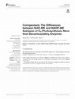 Research paper thumbnail of Corrigendum: The Differences between NAD-ME and NADP-ME Subtypes of C4 Photosynthesis: More than Decarboxylating Enzymes