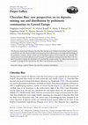 Research paper thumbnail of Chocolate flint: new perspectives on its deposits, mining, use and distribution by prehistoric communities in Central Europe