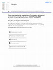 Research paper thumbnail of Post-translational regulation of mitogen-activated protein kinase phosphatase-2 (MKP-2) by ERK