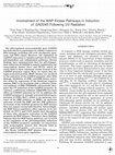 Research paper thumbnail of Involvement of the MAP Kinase Pathways in Induction of GADD45 Following UV Radiation