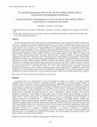 Research paper thumbnail of La pesca artesanal de elasmobranquios en la costa oriental de Baja California, México: Características y consideraciones de manejo