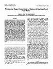 Research paper thumbnail of Proton and Copper Adsorption to Maize and Soybean Root Cell Walls