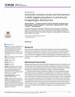 Research paper thumbnail of Insecticide resistance levels and mechanisms in Aedes aegypti populations in and around Ouagadougou, Burkina Faso