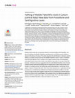 Hafting of Middle Paleolithic tools in Latium (central Italy): New data from Fossellone and Sant’Agostino caves Cover Page