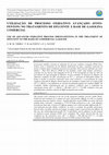 Utilização De Processo Oxidativo Avançado (Foto-Fenton) No Tratamento De Efluente À Base De Gasolina Comercial Cover Page