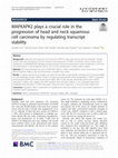 Research paper thumbnail of MAPKAPK2 plays a crucial role in the progression of head and neck squamous cell carcinoma by regulating transcript stability