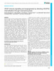 Research paper thumbnail of VEGF induces signalling and angiogenesis by directing VEGFR2 internalisation via macropinocytosis