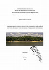 As gravuras rupestres da bacia do baixo rio Urubu: levantamento e análise gráfica do sítio Caretas, Itacoatiara - Estado do Amazonas. Uma proposta de contextualização Cover Page