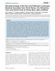 Microbial Ecology of the Hive and Pollination Landscape: Bacterial Associates from Floral Nectar, the Alimentary Tract and Stored Food of Honey Bees (Apis mellifera) Cover Page