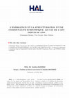 Research paper thumbnail of L'Emergence et La Structuration D'Une Communaute Scientifique : Le Cas De L'Afc Depuis 30 Ans