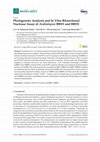 Research paper thumbnail of Phylogenetic Analysis and In Vitro Bifunctional Nuclease Assay of Arabidopsis BBD1 and BBD2