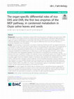 Research paper thumbnail of The organ-specific differential roles of rice DXS and DXR, the first two enzymes of the MEP pathway, in carotenoid metabolism in Oryza sativa leaves and seeds