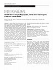 Research paper thumbnail of Identification of fungal ( Magnaporthe grisea ) stress-induced genes in wild rice ( Oryza minuta )