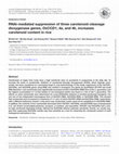 Research paper thumbnail of RNAi-mediated suppression of three carotenoid-cleavage dioxygenase genes, OsCCD1, 4a, and 4b, increases carotenoid content in rice