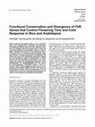 Research paper thumbnail of Functional conservation and divergence of FVE genes that control flowering time and cold response in rice and Arabidopsis