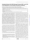 Research paper thumbnail of Interplay between the DNA Damage Proteins MDC1 and ATM in the Regulation of the Spindle Assembly Checkpoint