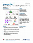 Research paper thumbnail of Global Mapping of Small RNA-Target Interactions in Bacteria