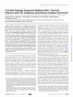 Research paper thumbnail of The DNA Damage Response Mediator MDC1 Directly Interacts with the Anaphase-promoting Complex/Cyclosome