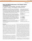 Research paper thumbnail of Novel small RNA-encoding genes in the intergenic regions of Escherichia coli