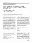 Research paper thumbnail of Towards the molecular characterization of the stable producer phenotype of recombinant antibody-producing NS0 myeloma cells