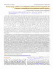 Research paper thumbnail of Home range of the mouse Phyllotis osilae in forest fragments of Polylepis subtusalbida with different habitat matrix