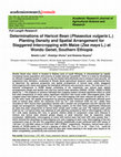 Research paper thumbnail of Determinations of Haricot Bean (Phaseolus vulgaris L.) Planting Density and Spatial Arrangement for Staggered Intercropping with Maize (Zea mays L.) at Wondo Genet, Southern Ethiopia