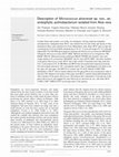 Research paper thumbnail of Description of Micrococcus aloeverae sp. nov., an endophytic actinobacterium isolated from Aloe vera