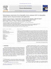 Research paper thumbnail of Heterologous expression of an Aspergillus niveus xylanase GH11 in Aspergillus nidulans and its characterization and application