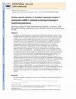 Research paper thumbnail of Cardiac specific deletion ofN-methyl-d-aspartate receptor 1 ameliorates mtMMP-9 mediated autophagy/mitophagy in hyperhomocysteinemia